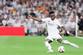 职业生涯的 职业生涯的